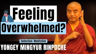 Feeling Overwhelmed? Here are the 4 THINGS YOU CAN DO - Yongey Mingyur Rinpoche | LSE 2018【C:M Ep.9】