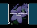 Profound Relaxation with Rain