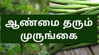 ஆண்மை தரும் முருங்கை | aanmai athikarikka tips in tamil