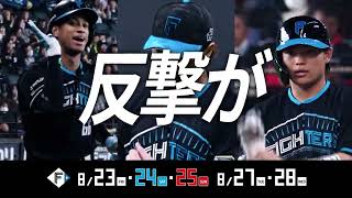 勝負の夏、反撃がはじまる。【いよいよ後半戦】