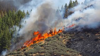 Gran Canaria: Waldbrand auf Urlaubsinsel dauert an