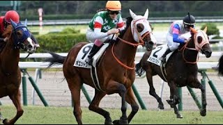 2歳未勝利　芝1600m (左 外 A)　ポエットリー　牝2　52.0　永島まなみ　2023.10.22　　出走馬：イノセントキャット、インフルブルーム、エコロアモーレ、サクソンジェンヌ他