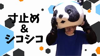 寸止め＆シコシコ【ヒカマニ】【新素材】