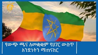 የውጭ ጫና ለመቋቋም የሀገር ውስጥ አንድነትን ማጠናከር #ፋና_ዜና #ፋና_90