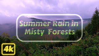 Summer Rain in Misty Softwood Forests - 4k Walk - For Treadmill, Elliptical, Walk at Home Workouts
