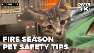Fire Season Is Here: Don’t Forget Your Pets in Your Emergency Evacuation Plan