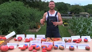 Tomato Tasting (Pink, Purple, Black Slicing Varieties) August 2021