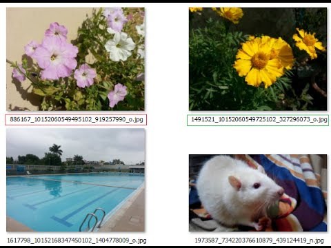 Find Facebook Account Using an Image URL OR from a Saved Image Find Facebook Account Using an Image URL OR from a Saved Image