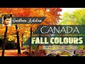 CANADA FALL COLOURS #Gowtham Kalidass