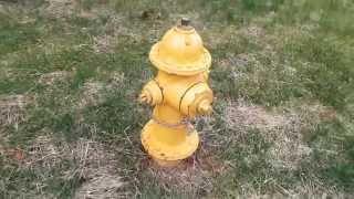 Mueller Super Centurion 250 Model 5 1/4" Valve Opening Dry Barrel Fire Hydrant