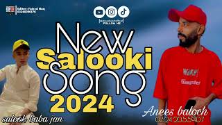 Salooki song new version | Anees baloch | Salook baba jan | 2024