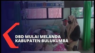 Sejak Januari 2022, 23 Warga di  Bulukumba Terjangkit DBD