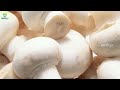 పుట్టగొడుగులు వల్ల లాభాలు తెలిస్తే షాక్ .. health benefits of mushrooms telugu health facts