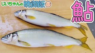 【爺ちゃんの晩ご飯】まるまる太った鮎の塩焼きとマグロのお刺身、ヒガンフグの味噌汁で贅沢な晩ごはんになりました！