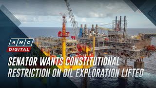 Senator wants constitutional restriction on oil exploration lifted | ANC