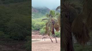 Tarrafal Santiago, Cabo Verde 🇨🇻