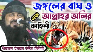 মারাত্মক কাহিনী//এক আল্লাহর অলি ও জঙ্গলের বাঘের ঘটনা পীরজাদা ইমরান উদ্দিন সিদ্দিকী//নিউ বাংলাওয়াজ