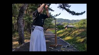 저렴한 전문베기용 벽사의 도검 흑호사인도 단조    Korea Sacred  Black  Tiger Katana Bamboo Cutting Test Tameshigiri Sword