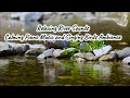 Relaxing Piano Music, Gentle River Sounds, Singing Birds Ambience for Deep Sleep, Meditation