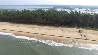 Flying over Cherai beaches and backwaters in Kerala : aerial 4K