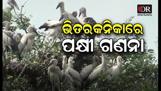 ଭିତରକନିକାରେ ଦେଶୀୟ ପକ୍ଷୀ ଗଣନା ଶେଷ | Pattamundai || Odisha Reporter