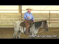 horse training for control how to prevent bucking bolting and violent spooking