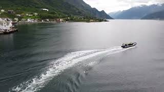 Fjord safari at the Hardangerfjord 🚤