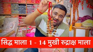 सारी Problems की एक ही माला सिद्ध माला ( 1-14 mukhi माला 📿