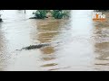 mp flood chhatarpur floods heavy rain causes severe water logging on site visuals u0026 reactions