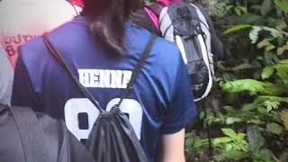 Macritchie 麦里芝蓄水池