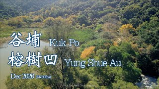 谷埔 榕樹凹 Kuk Po 🏡🗺 Yung Shue Au 🌳⛰ Dec 2020 (4K60fps)