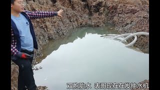 抽干“双胞胎”大水坑，凶猛海货相互缠绕，剧毒鱼群一般人不敢抓