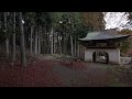 【京都の庭園】紅葉 阿弥陀寺｜autumn leaves amida ji temple【kyoto japanese garden】