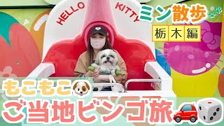 【犬と遊園地】もこもこシーズーと遊園地を遊び尽くす！急展開のビンゴ旅に家族全員大騒ぎ！〜栃木編 Part4〜【509日目】