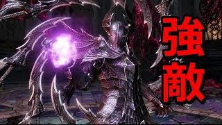 【DDON】黒騎士　瀕死セージ　ソロ月無9分47秒