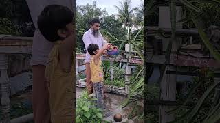 আজ আবার ড্রাগন ফল তুললাম#trending #youtube #shorts #dragon #nurtv