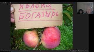 Новое садоводство Железова для новичков, школьников и студентов. Серия № 18.