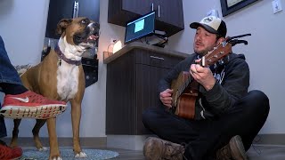 Veterinarian Sings to Patients as an Unconventional Treatment