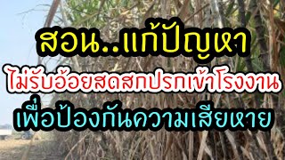 สอน..จับมือชาวไร่ ไม่ส่งอ้อยสดสกปรกเข้าโรงงาน เพื่อป้องกันความเสียหายหลายๆด้าน