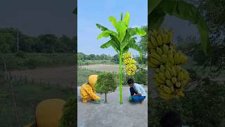 banana ped paudha ugate Hue magic short video Bholenath song