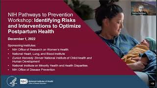 P2P Workshop: Identifying Risks and Interventions to Optimize Postpartum Health — Day 3