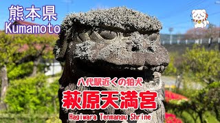 【狛犬・萩原天満宮】熊本・八代駅近くの神社