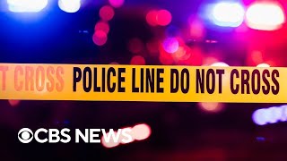 What drove the 2025 decline in crime across U.S.?