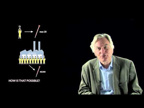 Why did Adam Smith believed that the division of labor was important to productivity?