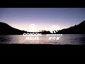 【日本gordon　miller】gml除油膜雨刷精