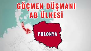 Polonya neden göçmenleri öld*rüyor? 800 milyon dolarlık sınır önlemleri!