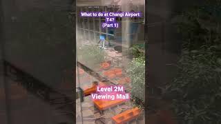 What to do at T4 Changi Airport #ChangiAirport #T4 #Level2M #Singapore #Terminal4 #Singapore