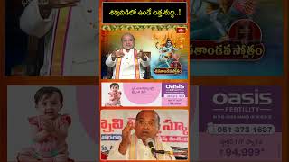 శివునిడిలో ఉండే చిత్త శుద్ధి..! #garikipatipravachanam #shorts #shiva #shivathandavam