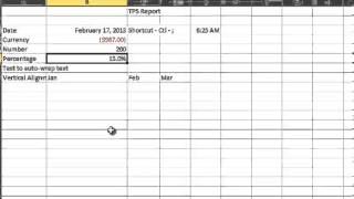 Excel 2010 Class Week 3: Part 1 of 2 (Formatting Continued)