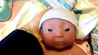 julie molloy baby dolls